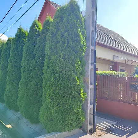 Guest house Szaffi *